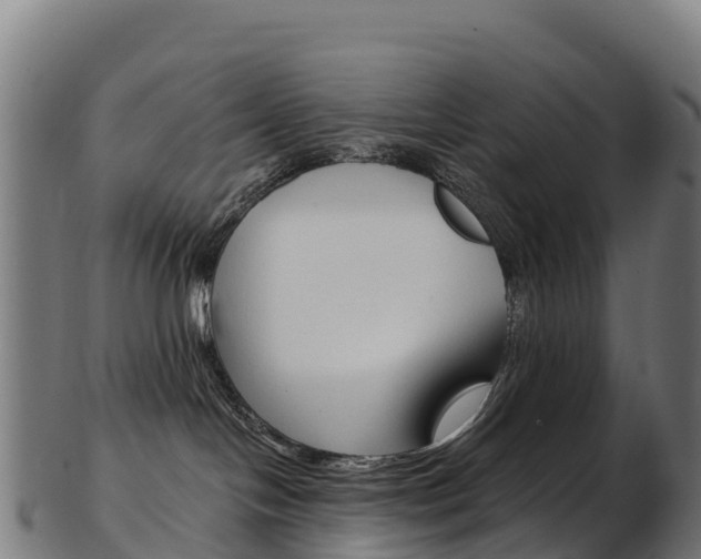 X0000103470094200809121130