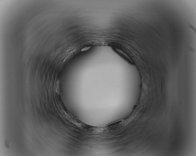 X0000103470096200809121130