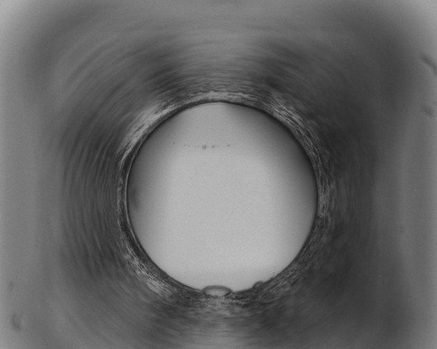X0000103470098200809121129