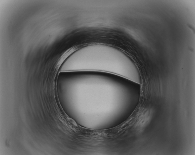 X0000103470099200809121129