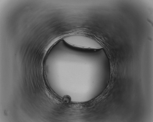 X0000103470100200809121129