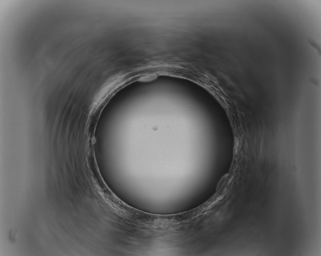 X0000103470101200809121129