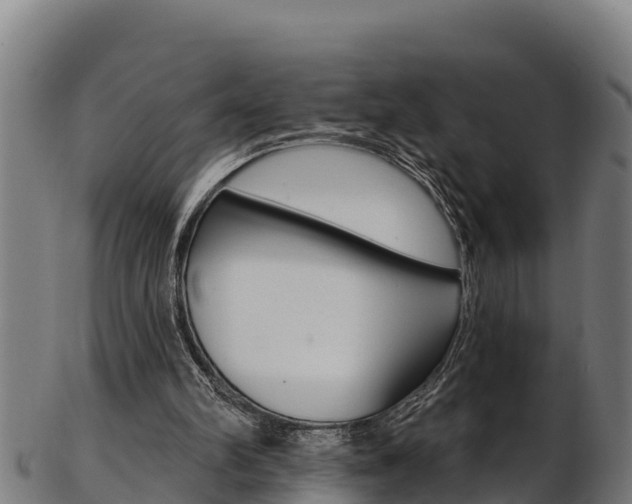 X0000103470102200809121129