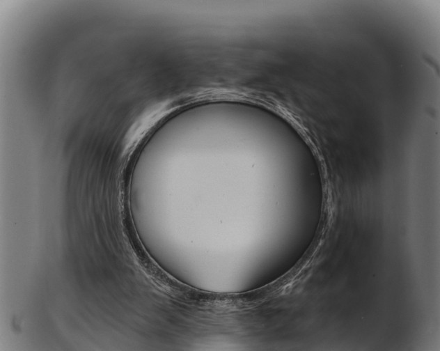 X0000103470103200809121129