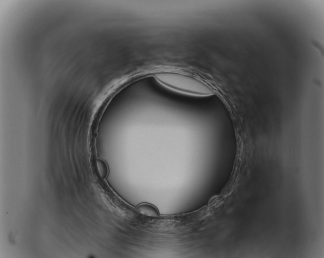 X0000103470104200809121129