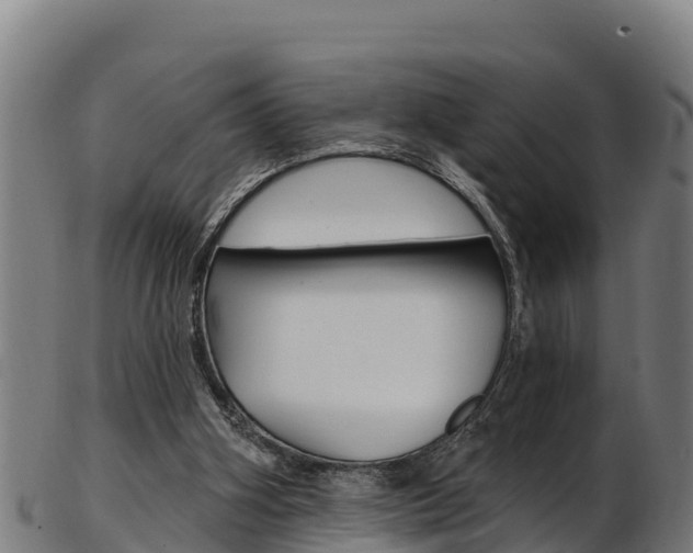 X0000103470106200809121129