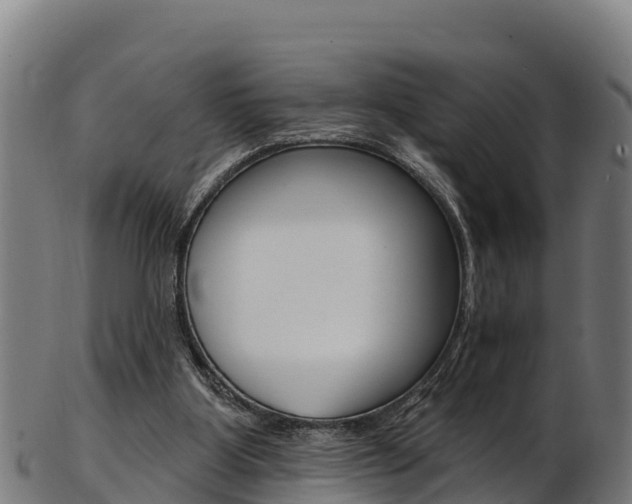 X0000103470107200809121129