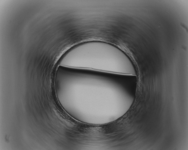 X0000103470108200809121129