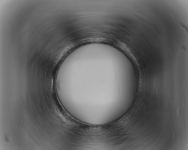 X0000103470110200809121129