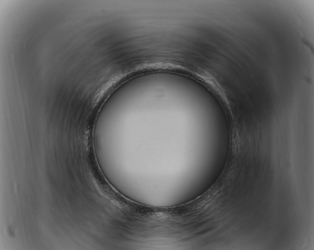 X0000103470111200809121129