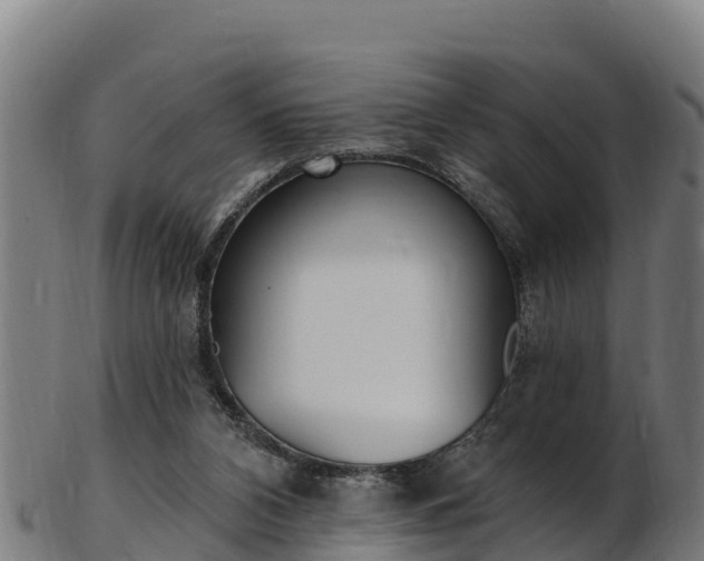 X0000103470112200809121129