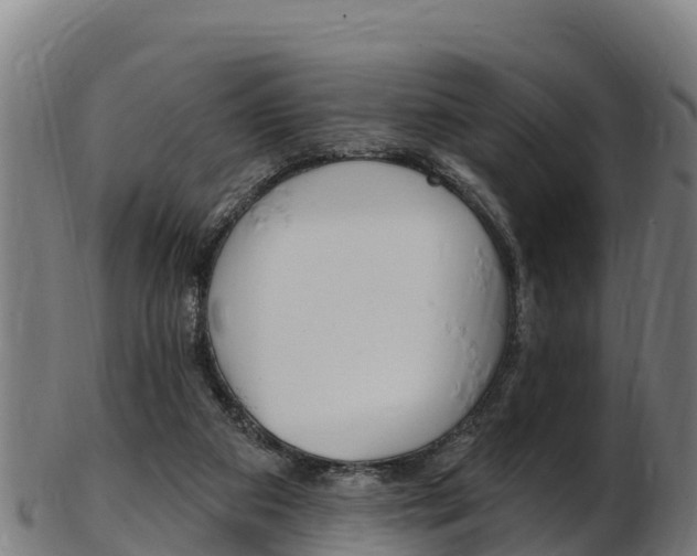 X0000103470113200809121129