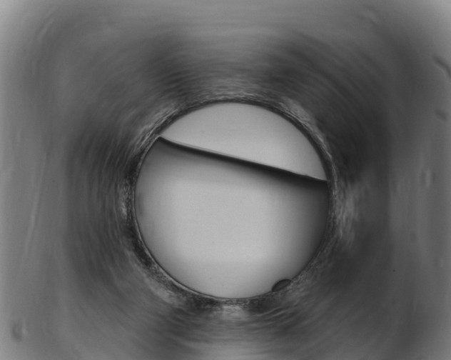 X0000103470114200809121129