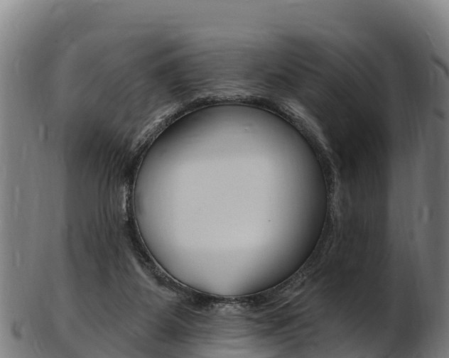 X0000103470115200809121129