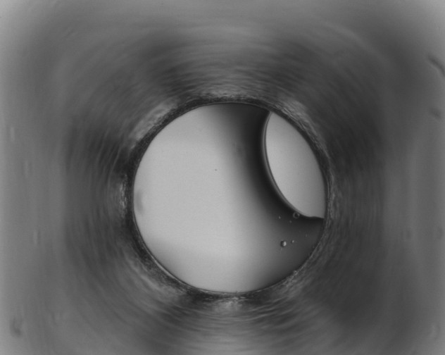 X0000103470116200809121129