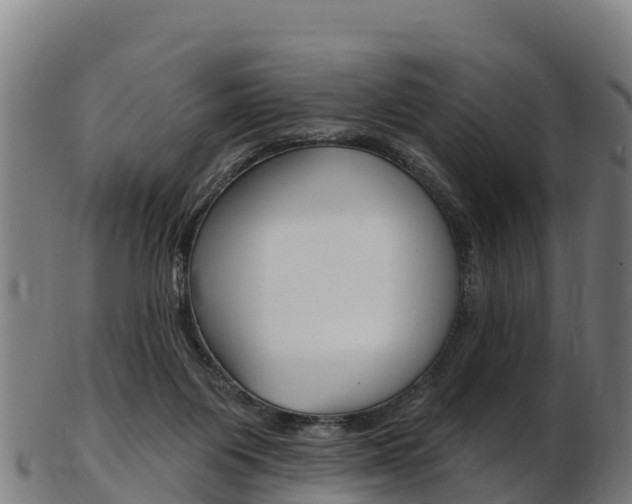 X0000103470119200809121129