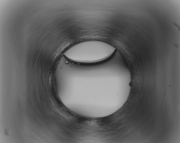X0000103470120200809121129