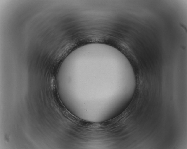 X0000103470123200809121129