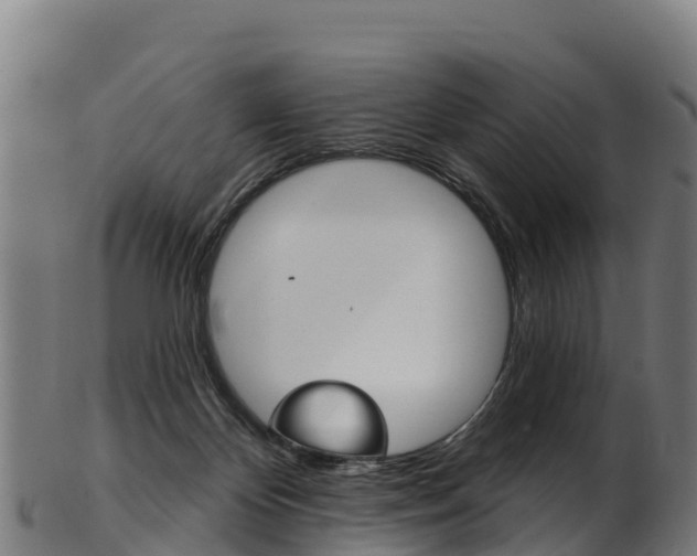X0000103470124200809121128