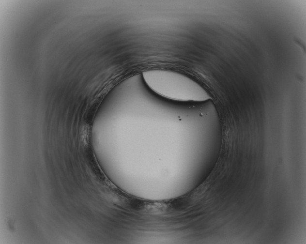 X0000103470125200809121128