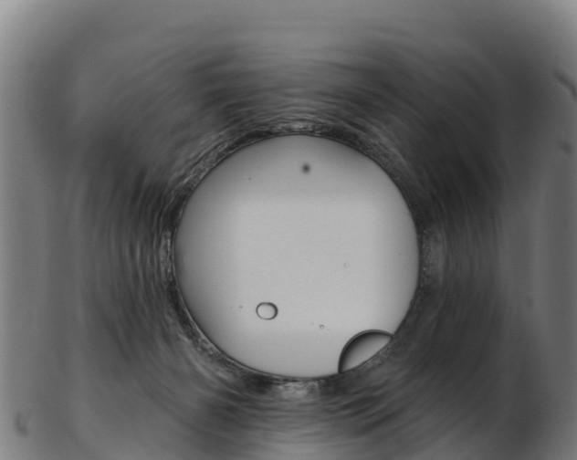 X0000103470126200809121128