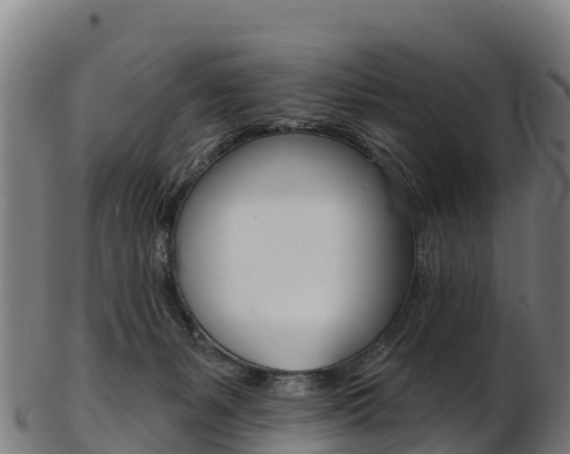 X0000103470127200809121128