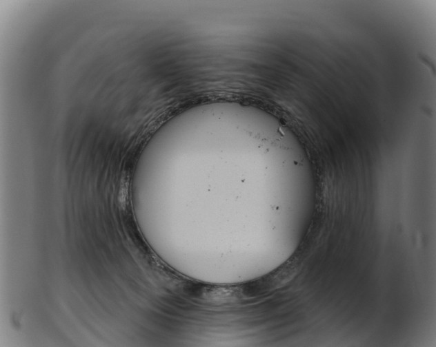 X0000103470129200809121128