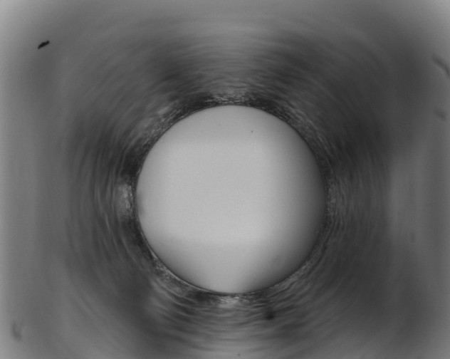 X0000103470130200809121128