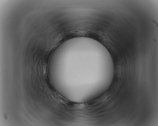 X0000103470131200809121128