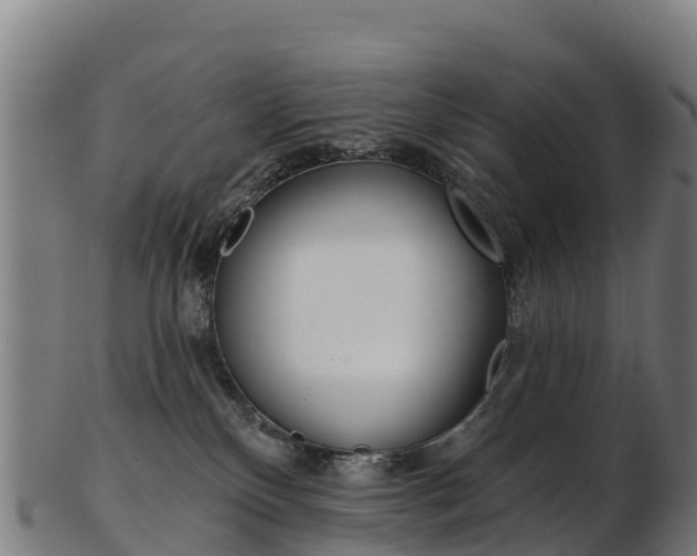 X0000103470136200809121128