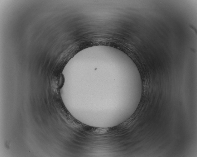 X0000103470138200809121128