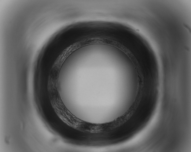 X0000103470143200809121128