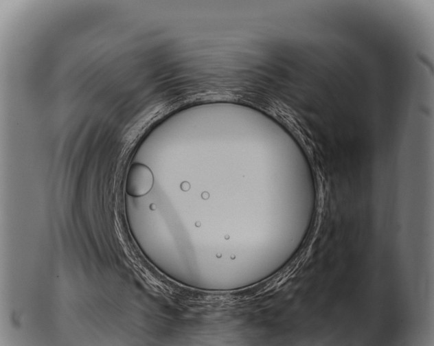 X0000103470145200809121127