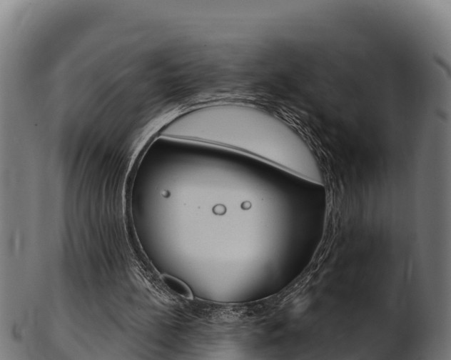 X0000103470148200809121127