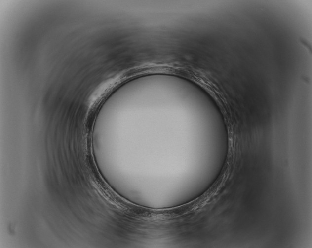 X0000103470149200809121127
