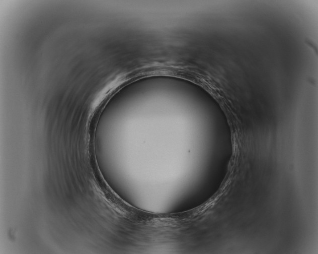 X0000103470150200809121127