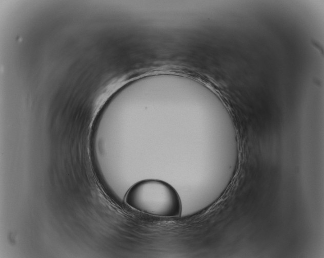X0000103470152200809121127