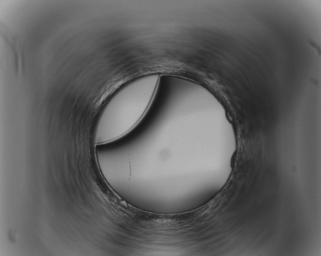 X0000103470154200809121128