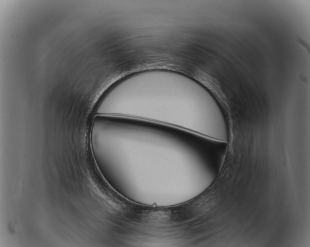 X0000103470156200809121128