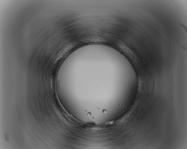 X0000103470158200809121128