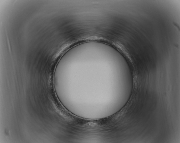 X0000103470159200809121128