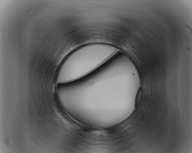X0000103470160200809121128