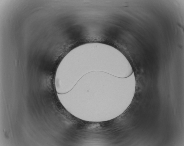 X0000103470162200809121128