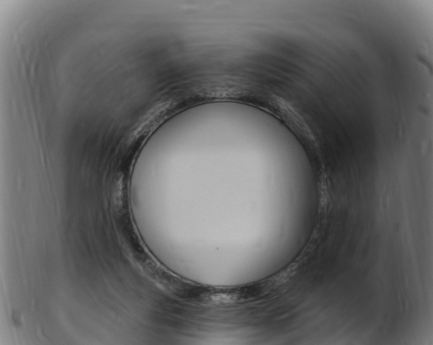 X0000103470163200809121128