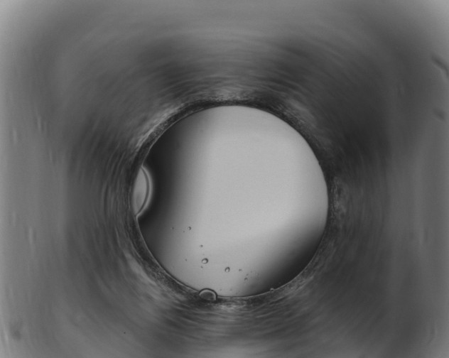 X0000103470164200809121128