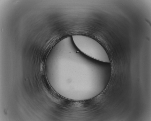 X0000103470166200809121128