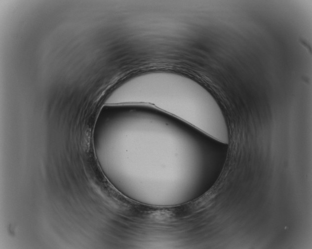 X0000103470168200809121128
