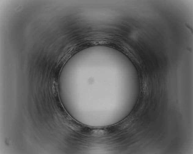 X0000103470169200809121128