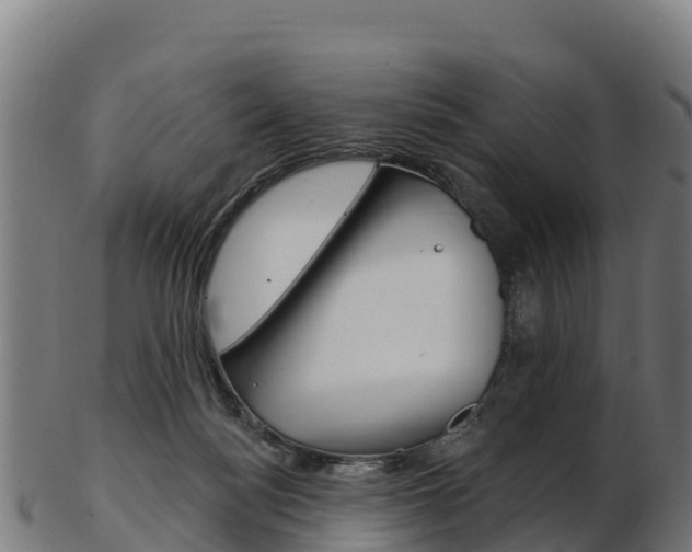 X0000103470172200809121128