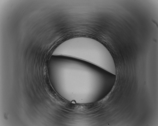 X0000103470174200809121128